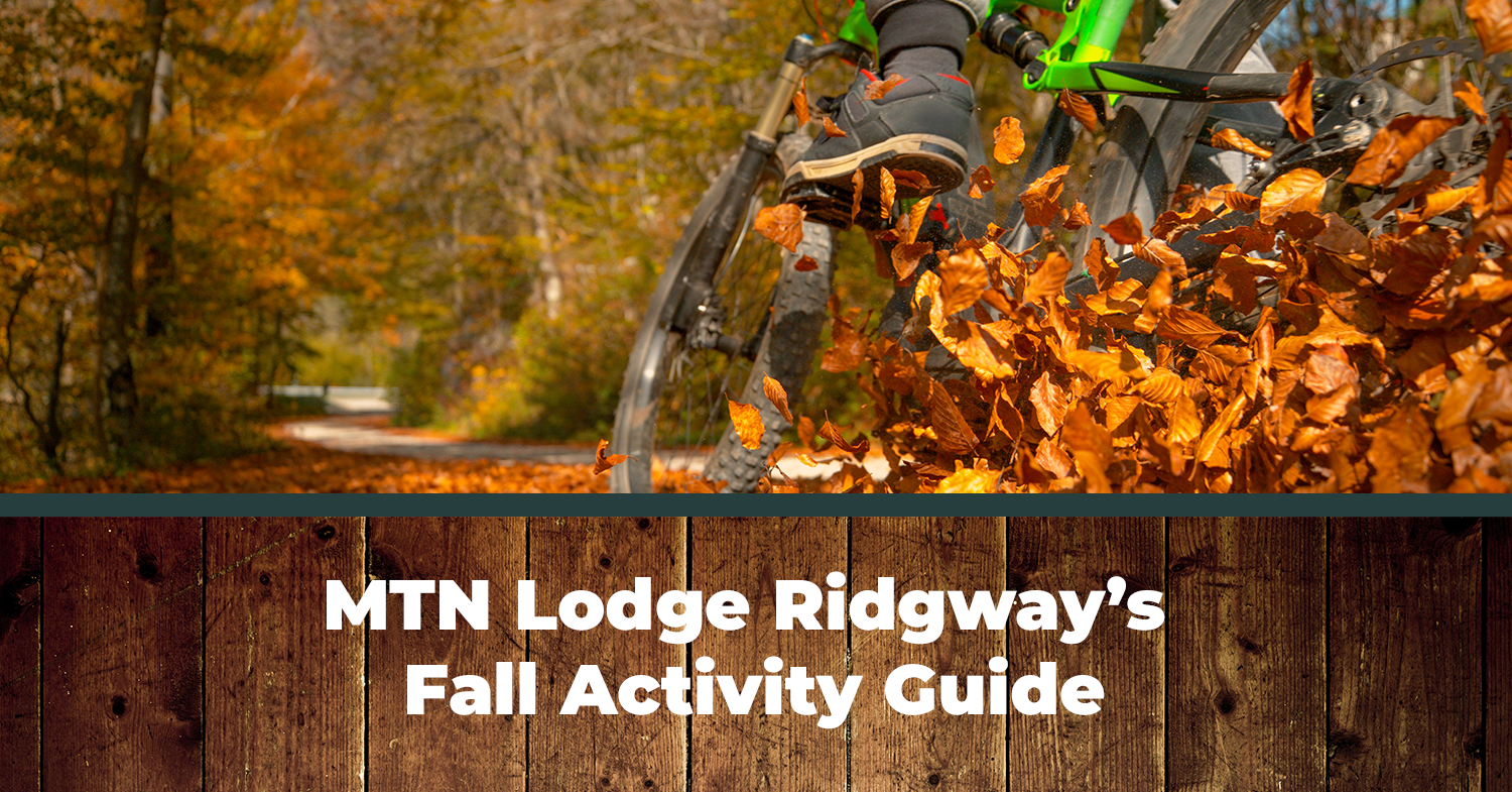 A popular fall activity, mountain biking, taking place in Ridgway, Colorado, in the fall.